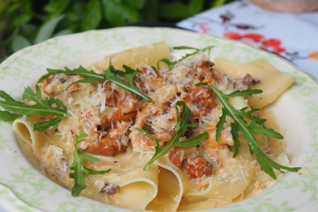 Makaron lasagne z sosem z kurek i salsą  truflową